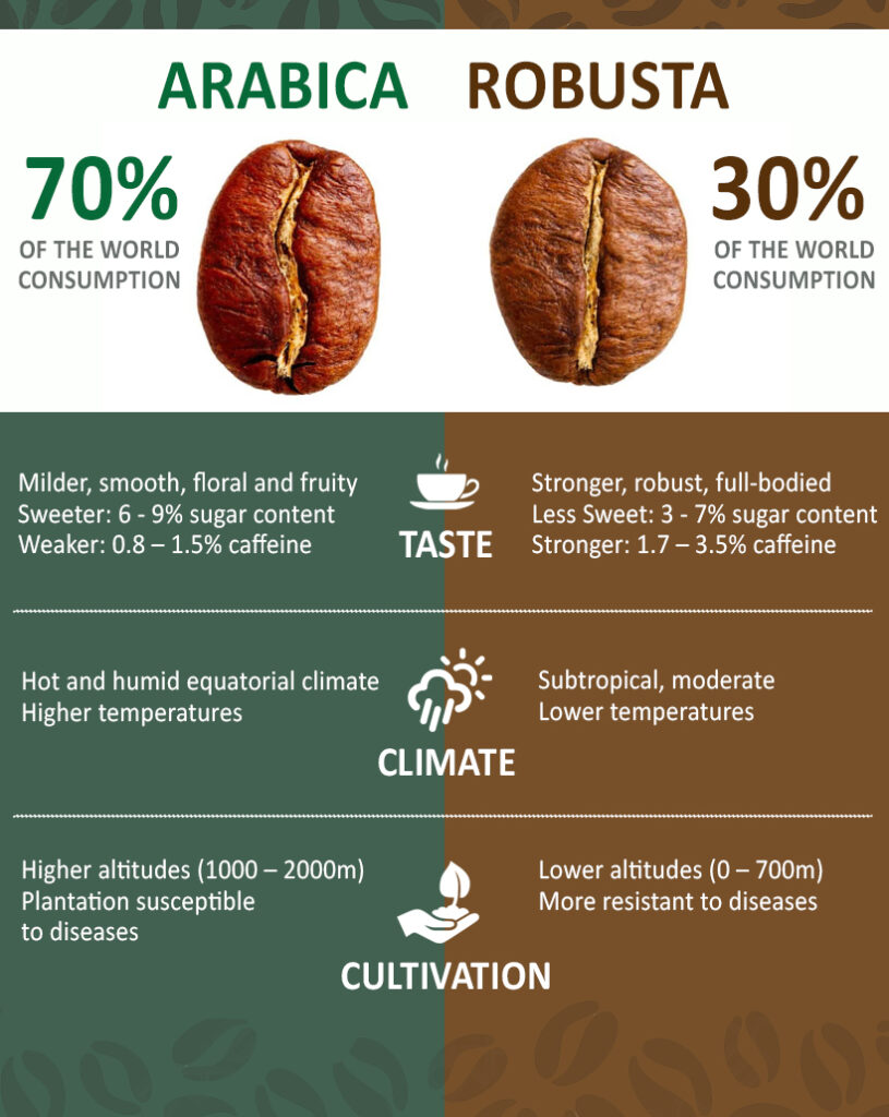 A professional infographic comparing Arabica and Robusta coffee beans across categories of consumption, taste, climate, and cultivation.