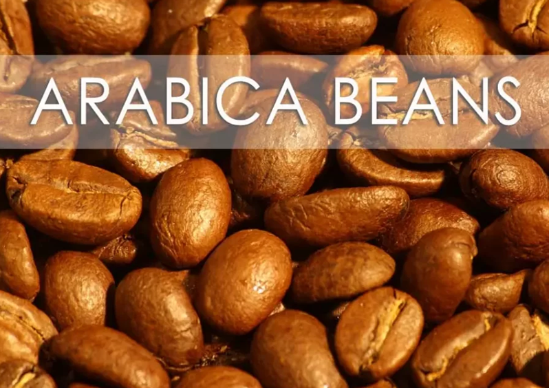 A high-detail macro photograph of perfectly roasted Arabica coffee beans, featuring a semi-transparent overlay with the text "ARABICA BEANS.