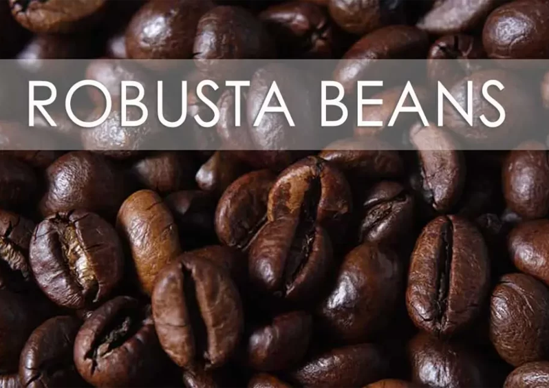A high-detail macro photograph of roasted Robusta coffee beans, featuring a semi-transparent overlay with the text "ROBUSTA BEANS."