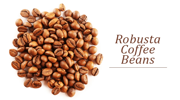 A high-resolution close-up of a pile of roasted Robusta coffee beans against a clean white background, with the text "Robusta Coffee Beans" featured on the right side.